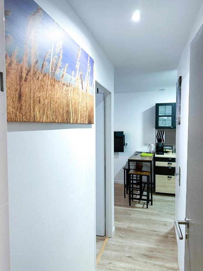 Appartements Calmes - Standing - Hypercentre - Clim - Wifi - Netflix モンペリエ エクステリア 写真